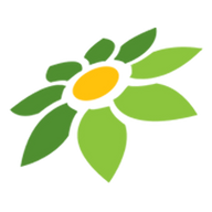 CHIKII MOD APK